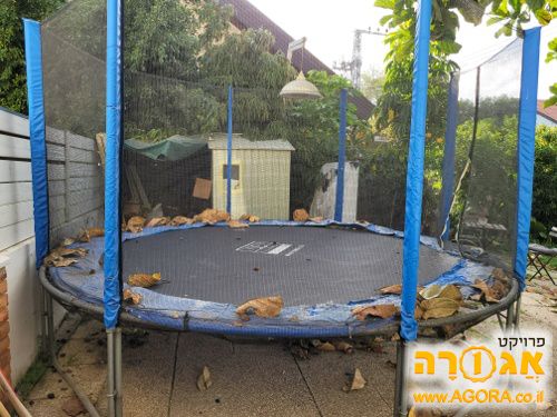 טרמפולינה