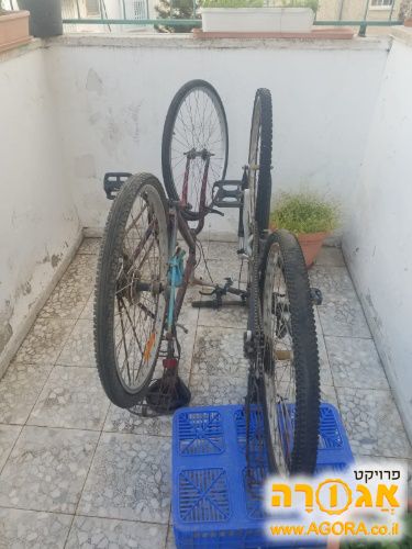 אופנים