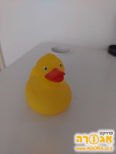 ברווז גומי