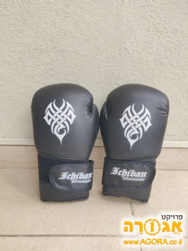כפפות אגרוף