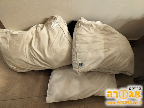 כריות