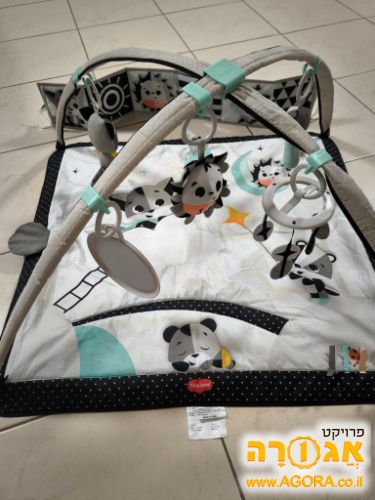 אוניברסיטה לתינוקות