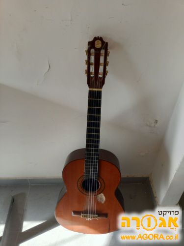 גיטרה קלאסית