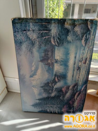 תמונה