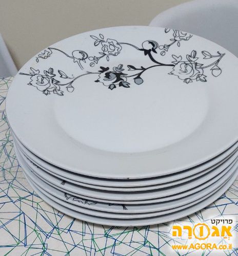 צלחות שטוחות