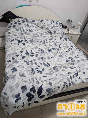 מיטה