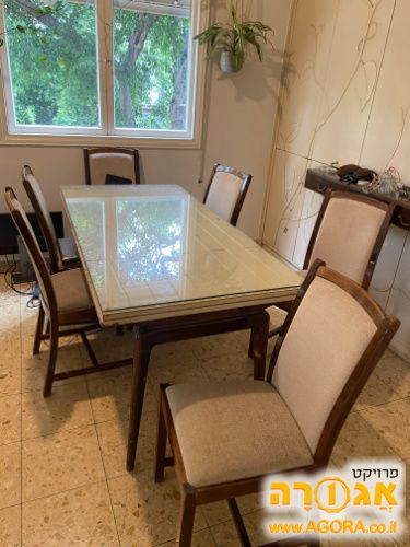 6 כסאות
