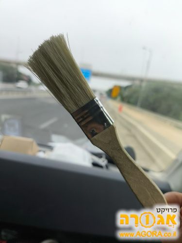 מברשת צבע קטנה