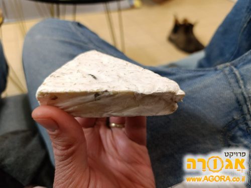מפות