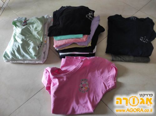חולצות בית ספר זלמן ארן מידות 6, 8 ו12