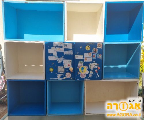 כוננית