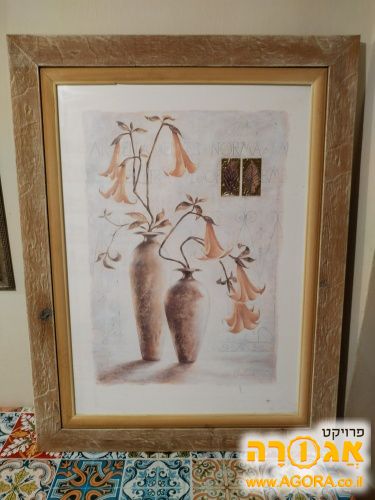 תמונה