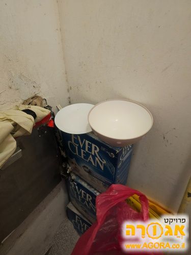 חול מתגבש וקערות האכלה לחתולים