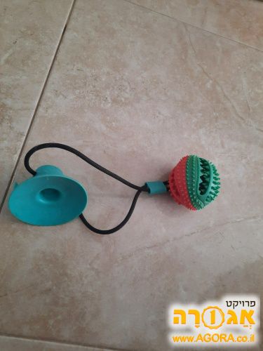 צעצוע לחיית מחמד