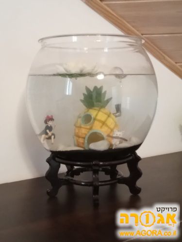 אקווריום