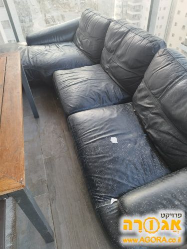 ספה מעור