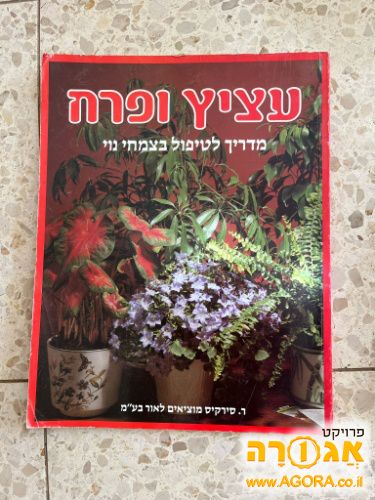 עציץ ופרח - מדריך לצמחי בית