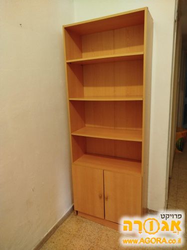 כוננית