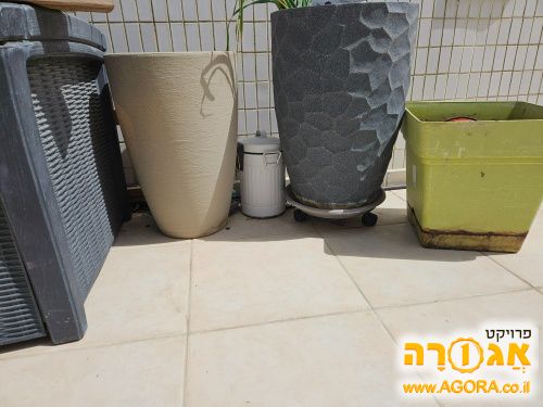 עציצים