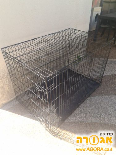כלוב אילוף לכלב גדול