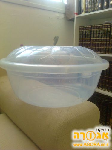 קערה לבצק