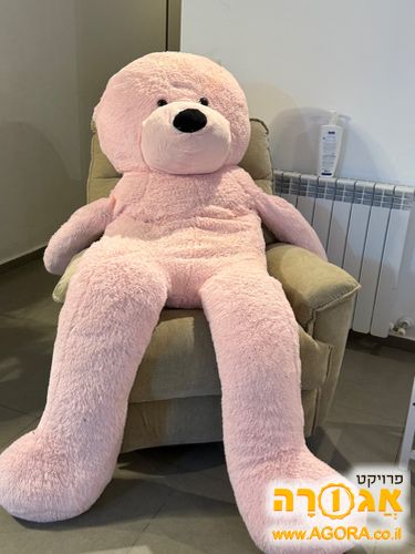 דובי ורוד בגודל אדם