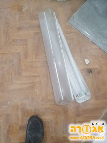 גוף תאורה