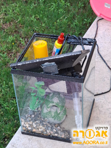 אקווריום