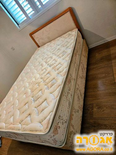 מיטה
