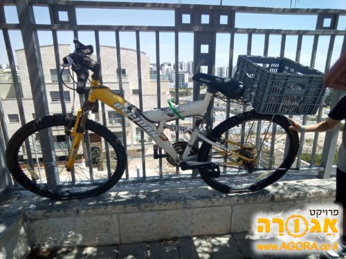 אופניים