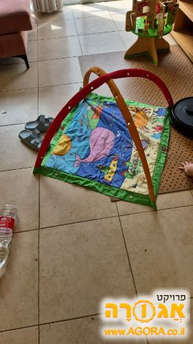 אוניברסיטה לתינוקות