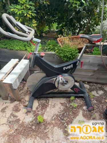 אופני ספינינג