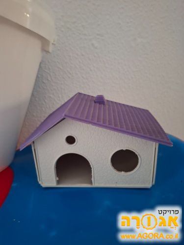 בית למכרסם קטן