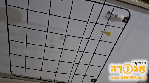 רשת לתליית תמונות