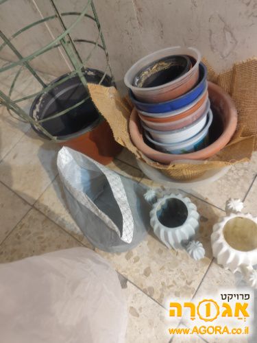 עציצים שונים