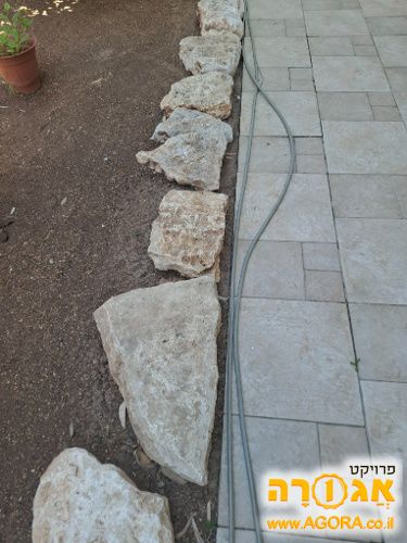 אבנים למסלעה