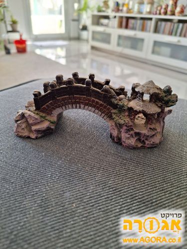 קישוט לאקווריום