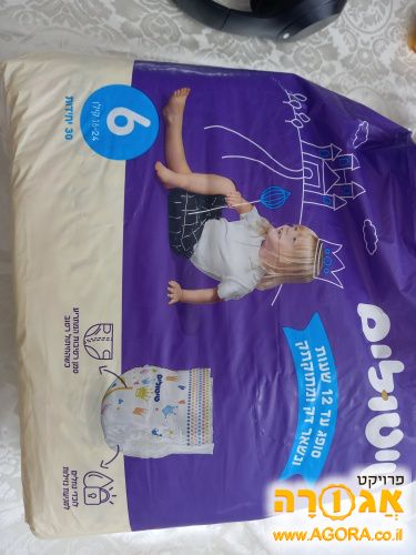 טיטולים מידה 6