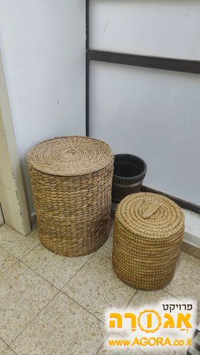 שתי סלסילות קש