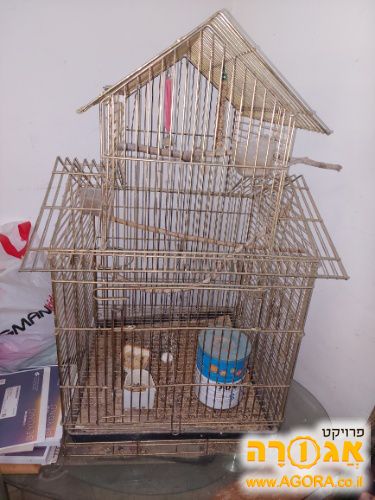 כלוב גדול לציפורים