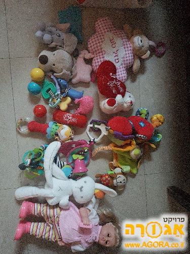צצועים