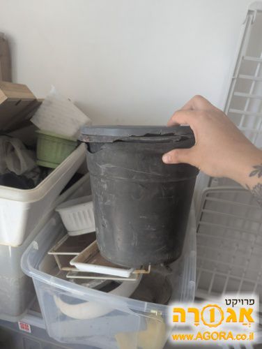 עציץ גדול מפלסטיק