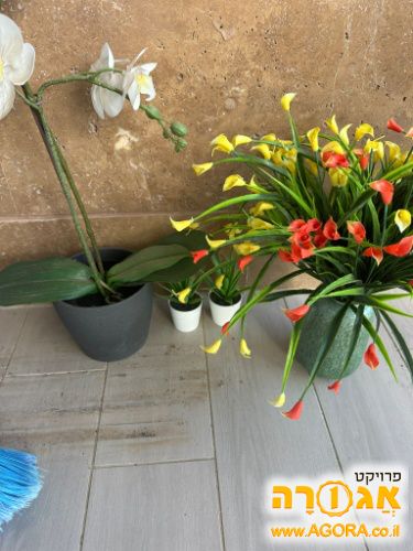 פרחים לקישוט הבית מפלסטיק