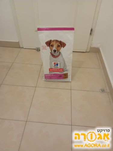 אוכל לכלבים