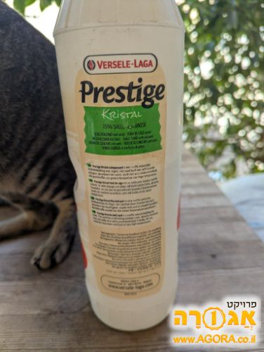 מצע חול לתוכים ולציפורים עם צדפות ואניס