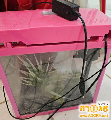 אקווריום