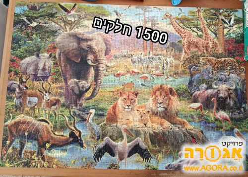 פאזל 1498