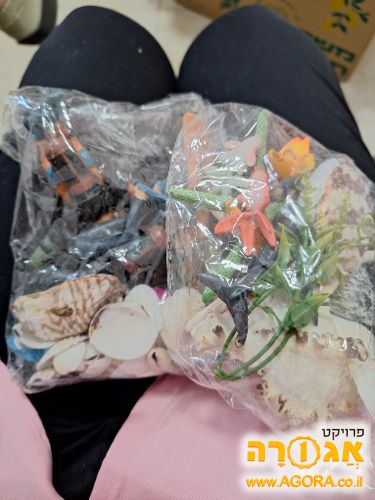 קישוטים חדשים לאקווריום