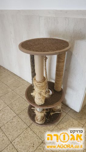 מתקן גירוד לחתולים