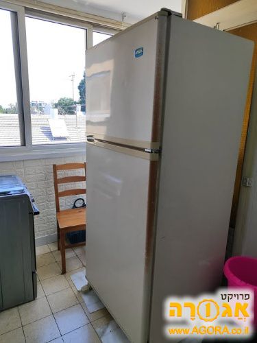 מקרר אפולו תדיראן